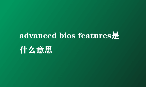 advanced bios features是什么意思