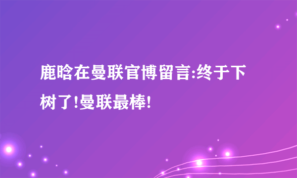 鹿晗在曼联官博留言:终于下树了!曼联最棒!