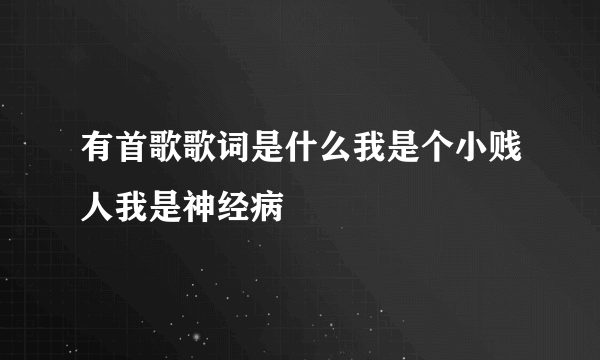 有首歌歌词是什么我是个小贱人我是神经病