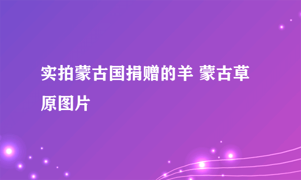 实拍蒙古国捐赠的羊 蒙古草原图片