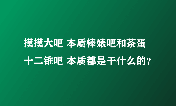 摸摸大吧 本质棒婊吧和茶蛋十二锥吧 本质都是干什么的？