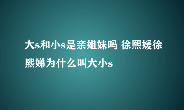 大s和小s是亲姐妹吗 徐熙媛徐熙娣为什么叫大小s