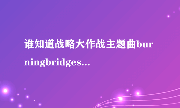 谁知道战略大作战主题曲burningbridges的歌词及？