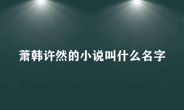 萧韩许然的小说叫什么名字