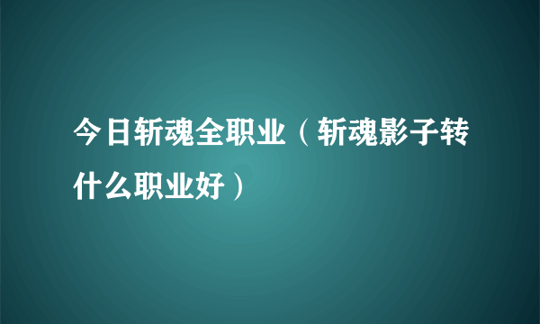 今日斩魂全职业（斩魂影子转什么职业好）