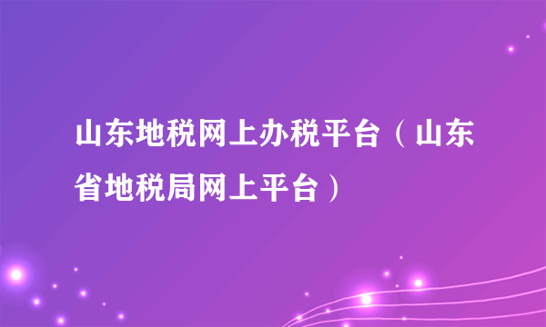 山东地税网上办税平台（山东省地税局网上平台）