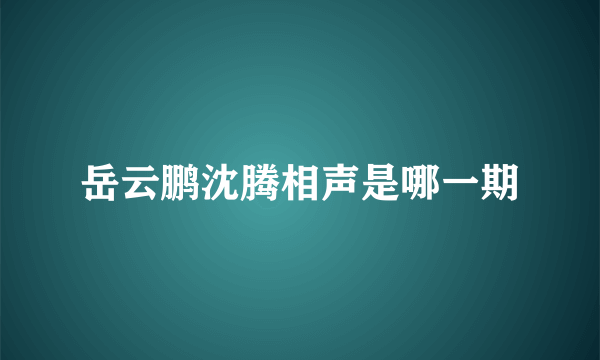 岳云鹏沈腾相声是哪一期