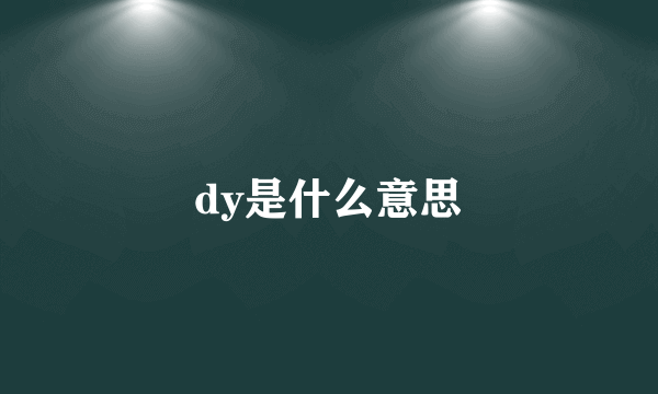 dy是什么意思