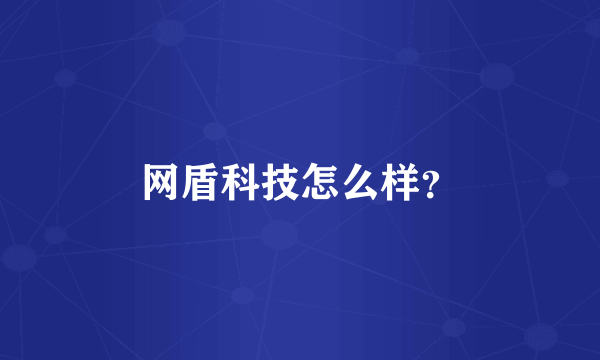 网盾科技怎么样？