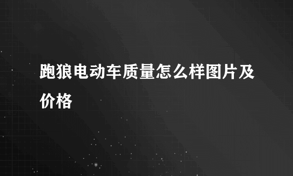 跑狼电动车质量怎么样图片及价格