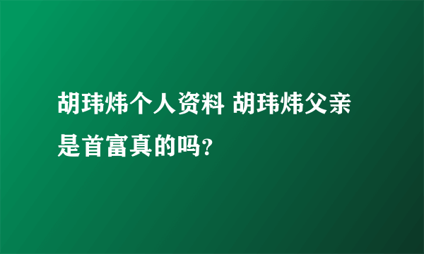 胡玮炜个人资料 胡玮炜父亲是首富真的吗？