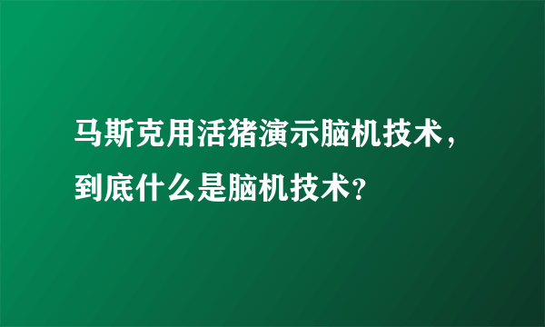 马斯克用活猪演示脑机技术，到底什么是脑机技术？