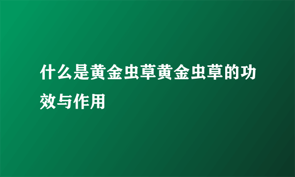 什么是黄金虫草黄金虫草的功效与作用