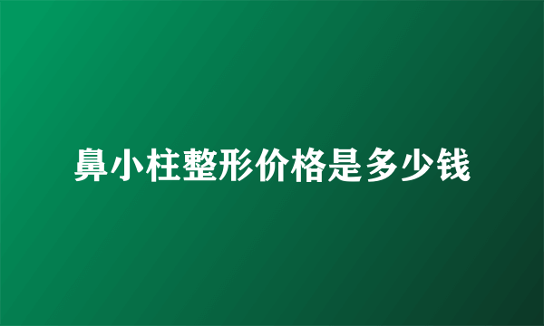 鼻小柱整形价格是多少钱