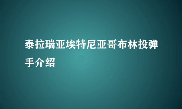 泰拉瑞亚埃特尼亚哥布林投弹手介绍