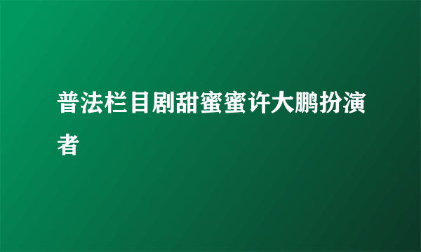 普法栏目剧甜蜜蜜许大鹏扮演者