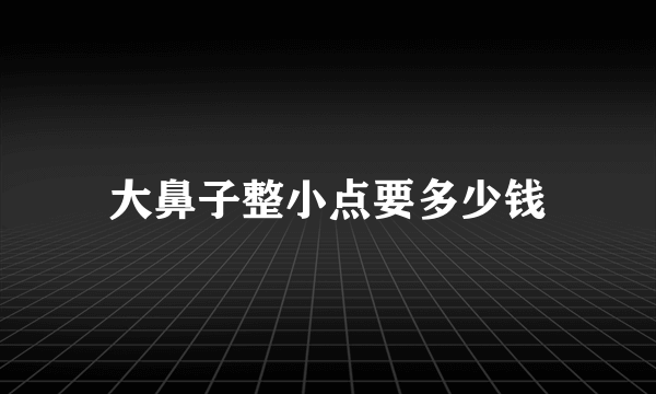 大鼻子整小点要多少钱