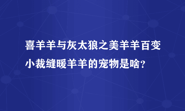 喜羊羊与灰太狼之美羊羊百变小裁缝暖羊羊的宠物是啥？