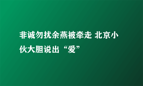 非诚勿扰余燕被牵走 北京小伙大胆说出“爱”