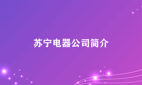 苏宁电器公司简介