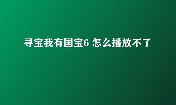 寻宝我有国宝6 怎么播放不了