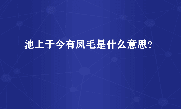 池上于今有凤毛是什么意思？