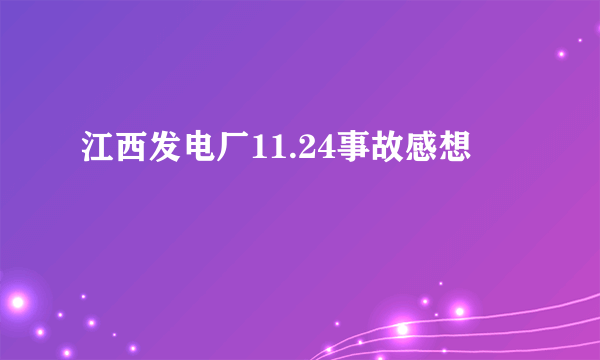 江西发电厂11.24事故感想