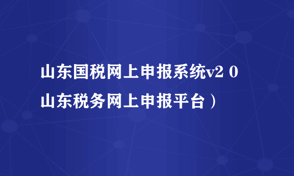 山东国税网上申报系统v2 0 山东税务网上申报平台）