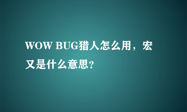 WOW BUG猎人怎么用，宏又是什么意思？