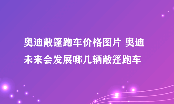 奥迪敞篷跑车价格图片 奥迪未来会发展哪几辆敞篷跑车