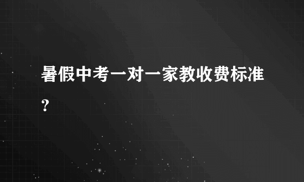 暑假中考一对一家教收费标准？