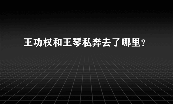 王功权和王琴私奔去了哪里？