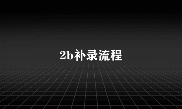 2b补录流程