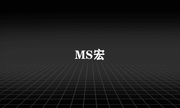 MS宏