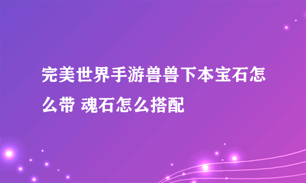 完美世界手游兽兽下本宝石怎么带 魂石怎么搭配