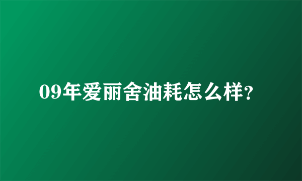 09年爱丽舍油耗怎么样？