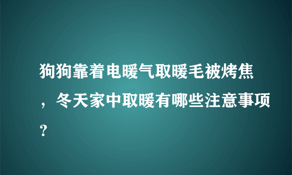 狗狗靠着电暖气取暖毛被烤焦，冬天家中取暖有哪些注意事项？