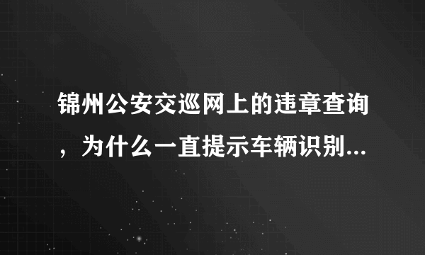 锦州公安交巡网上的违章查询，为什么一直提示车辆识别代码错误，我确认没错啊，请大侠赐教