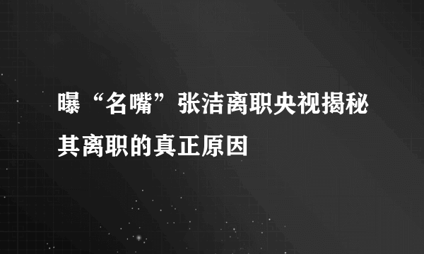 曝“名嘴”张洁离职央视揭秘其离职的真正原因