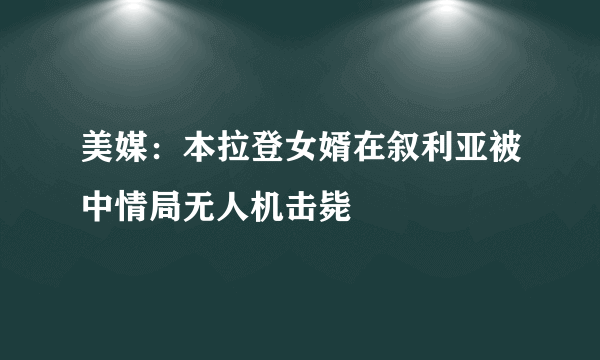 美媒：本拉登女婿在叙利亚被中情局无人机击毙