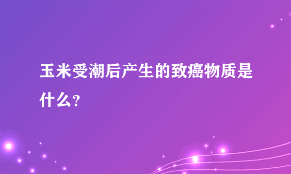 玉米受潮后产生的致癌物质是什么？