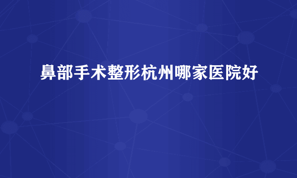 鼻部手术整形杭州哪家医院好