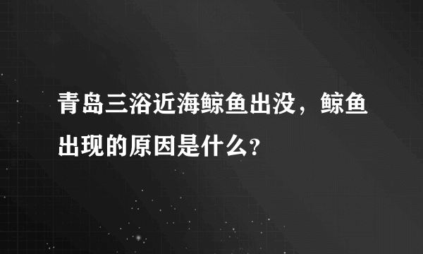 青岛三浴近海鲸鱼出没，鲸鱼出现的原因是什么？