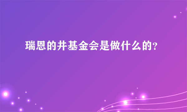 瑞恩的井基金会是做什么的？