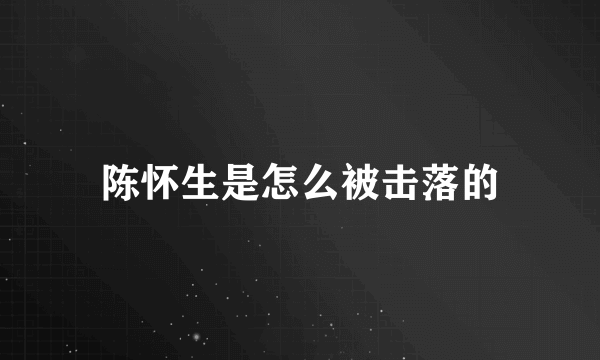 陈怀生是怎么被击落的