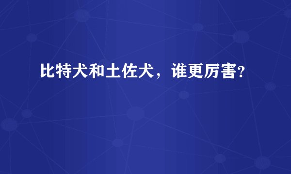 比特犬和土佐犬，谁更厉害？