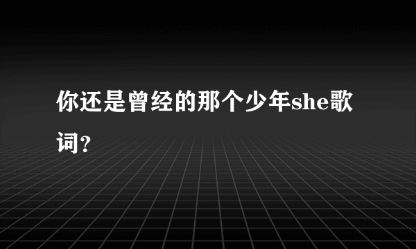 你还是曾经的那个少年she歌词？