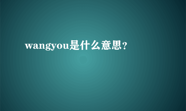 wangyou是什么意思？