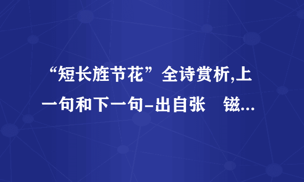 “短长旌节花”全诗赏析,上一句和下一句-出自张鎡《菩萨蛮·遣兴》-飞外