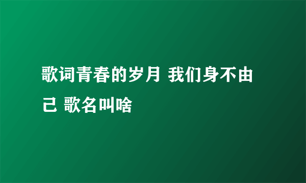 歌词青春的岁月 我们身不由己 歌名叫啥